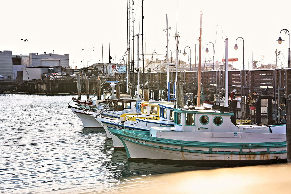 Morning Fleet