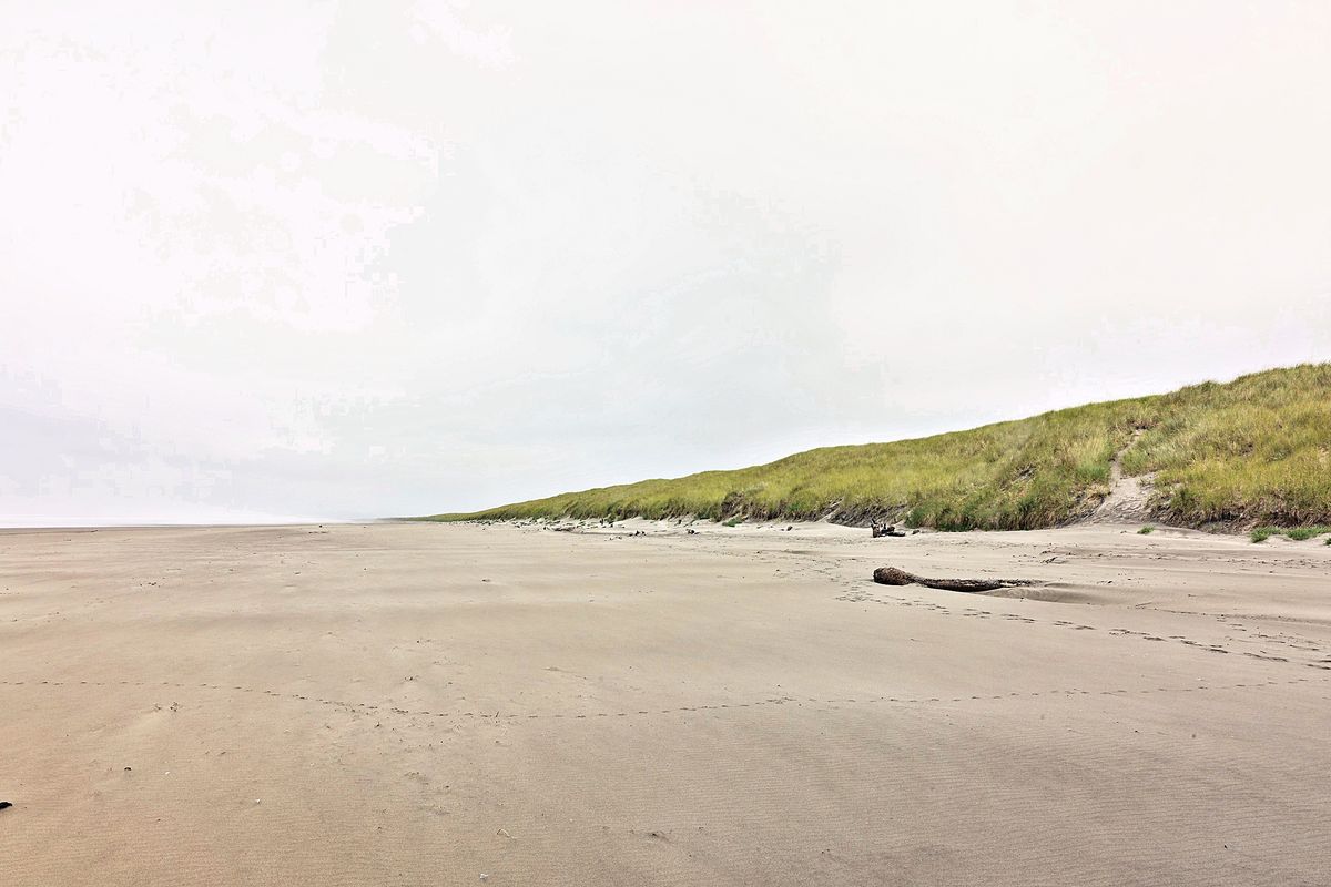 The Dune Line