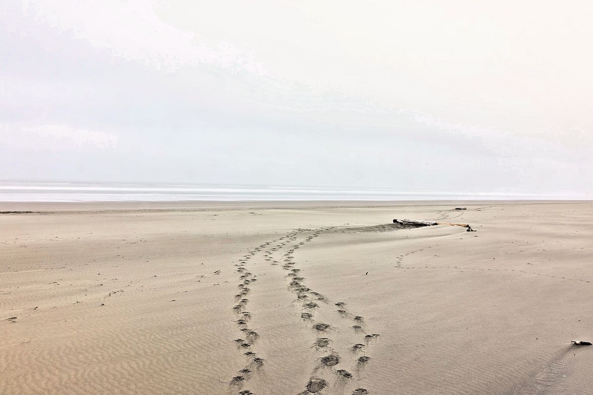 Two Sets of Footprints