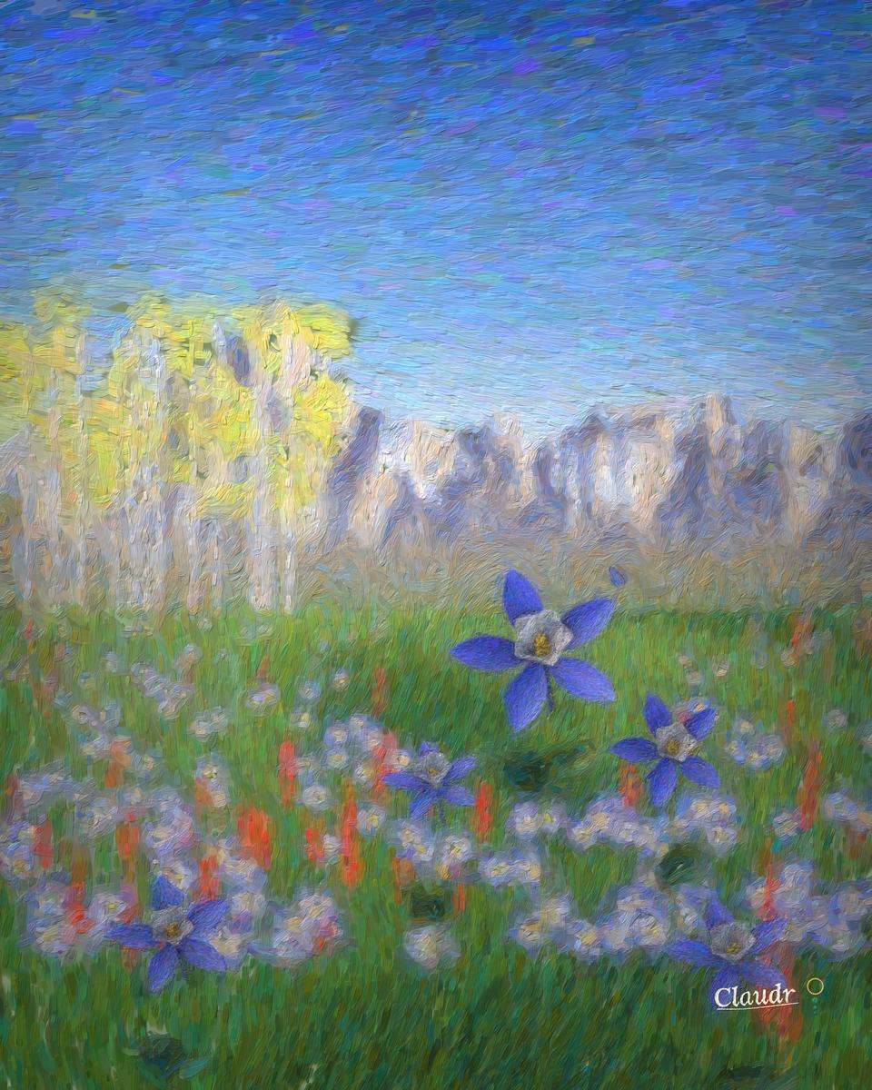 Blue and white Colorado columbines bloom in a high alpine meadow among grasses and red paintbrush, with white aspens and jagged sunlit peaks behind under a deep blue sky.
