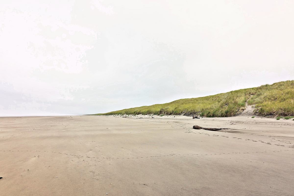 The Dune Line. A photograph of Fort Stevens, Oregon.