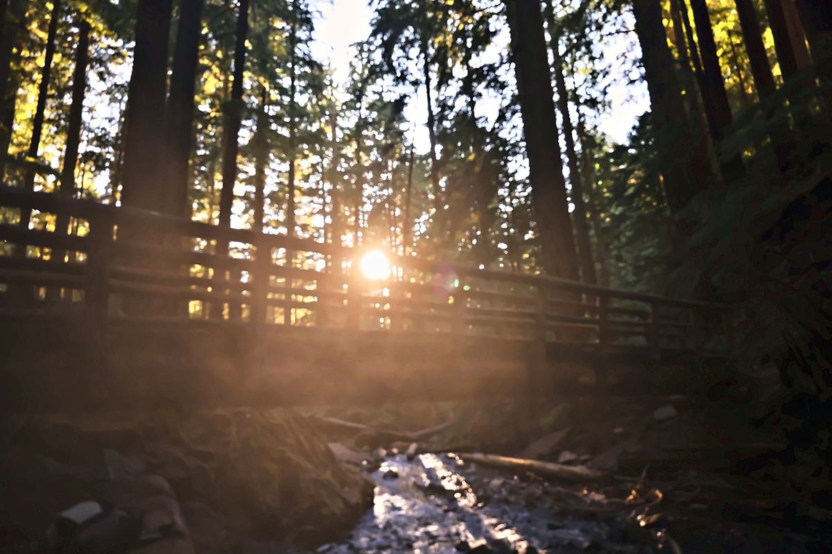 The Sun in the Footbridge. A photograph of Mt Hood National Forest, Oregon.