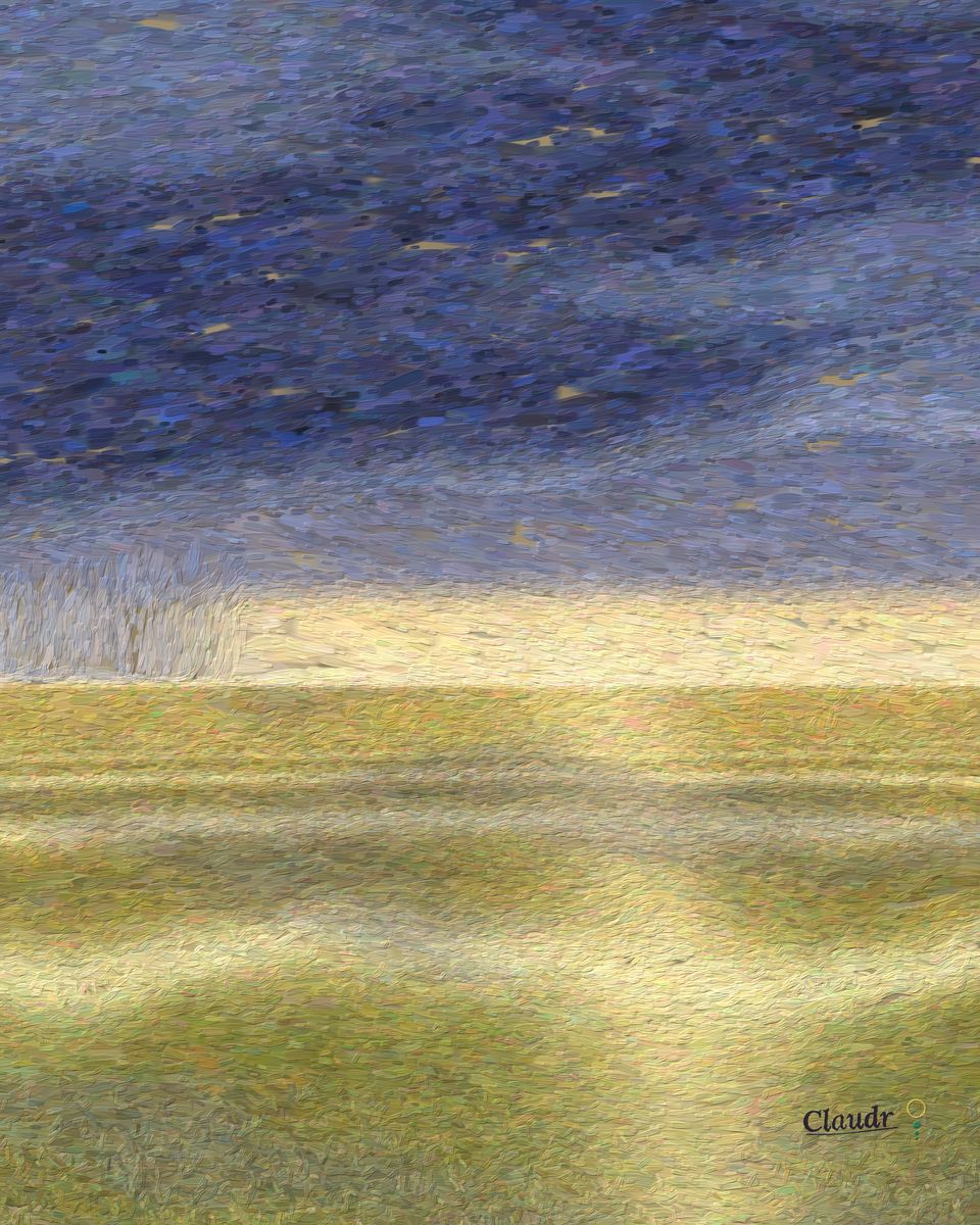 The Grass Remembers the Sea