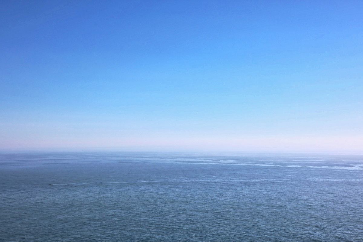 The Fog Line