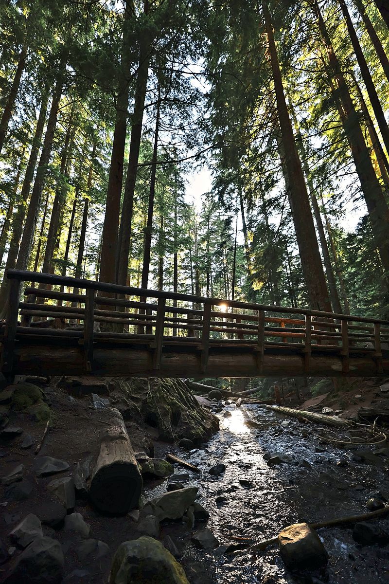The Footbridge