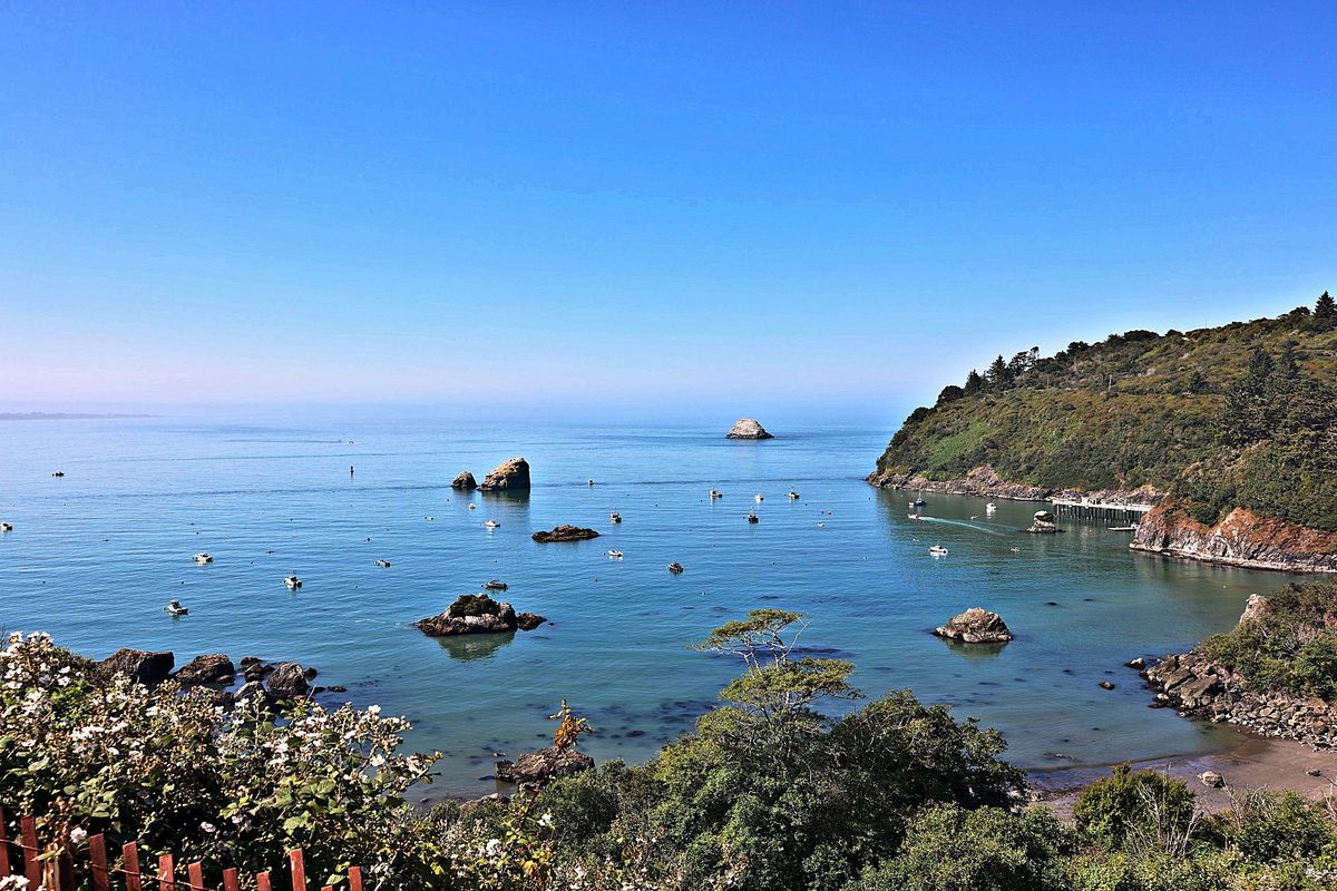 The Harbour at Trinidad