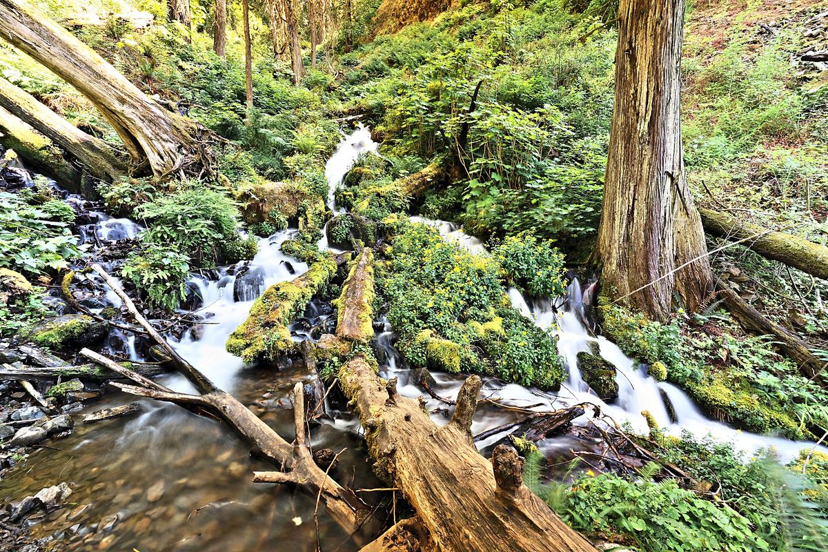 The Little Cascades