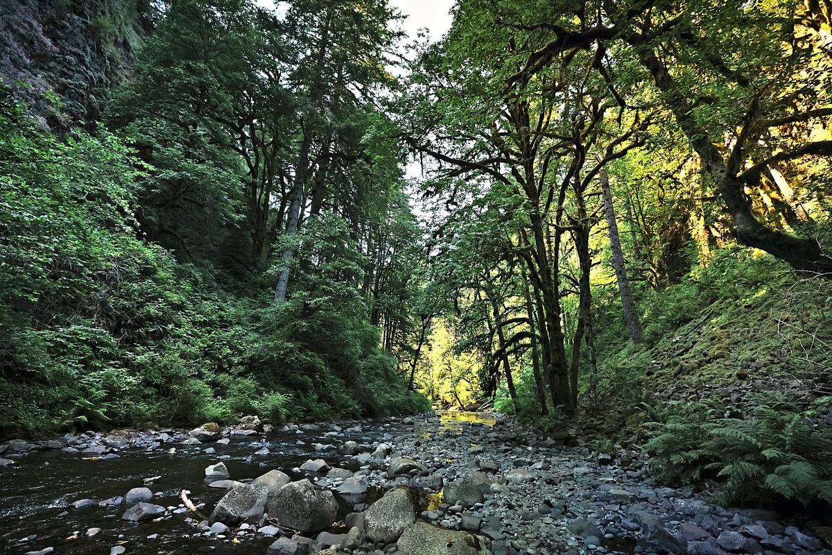 The Gorge at Last Light