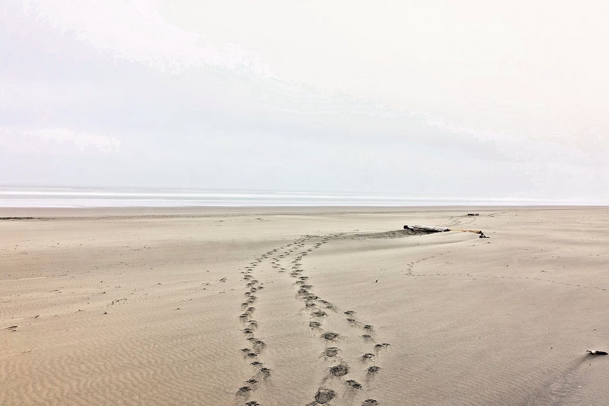 Two Sets of Footprints. A photograph of Fort Stevens, Oregon.